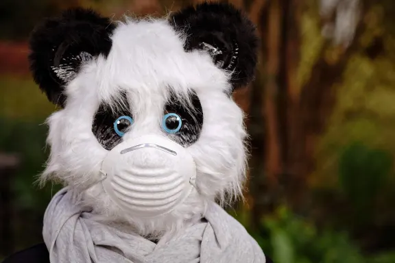 Casino of Dreams Tacaíocht